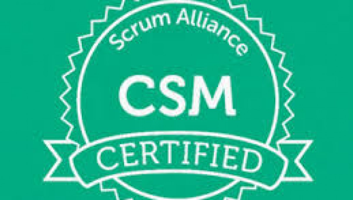Scrum Master-Infrastructure Projects